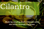 Cilantro Infused Olive Oil